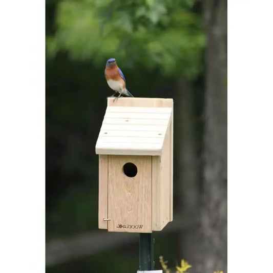 Cedar wood birdhouse for Eastern bluebirds with round entrance hole on a wooden post on Tampa Home & Garden Store
