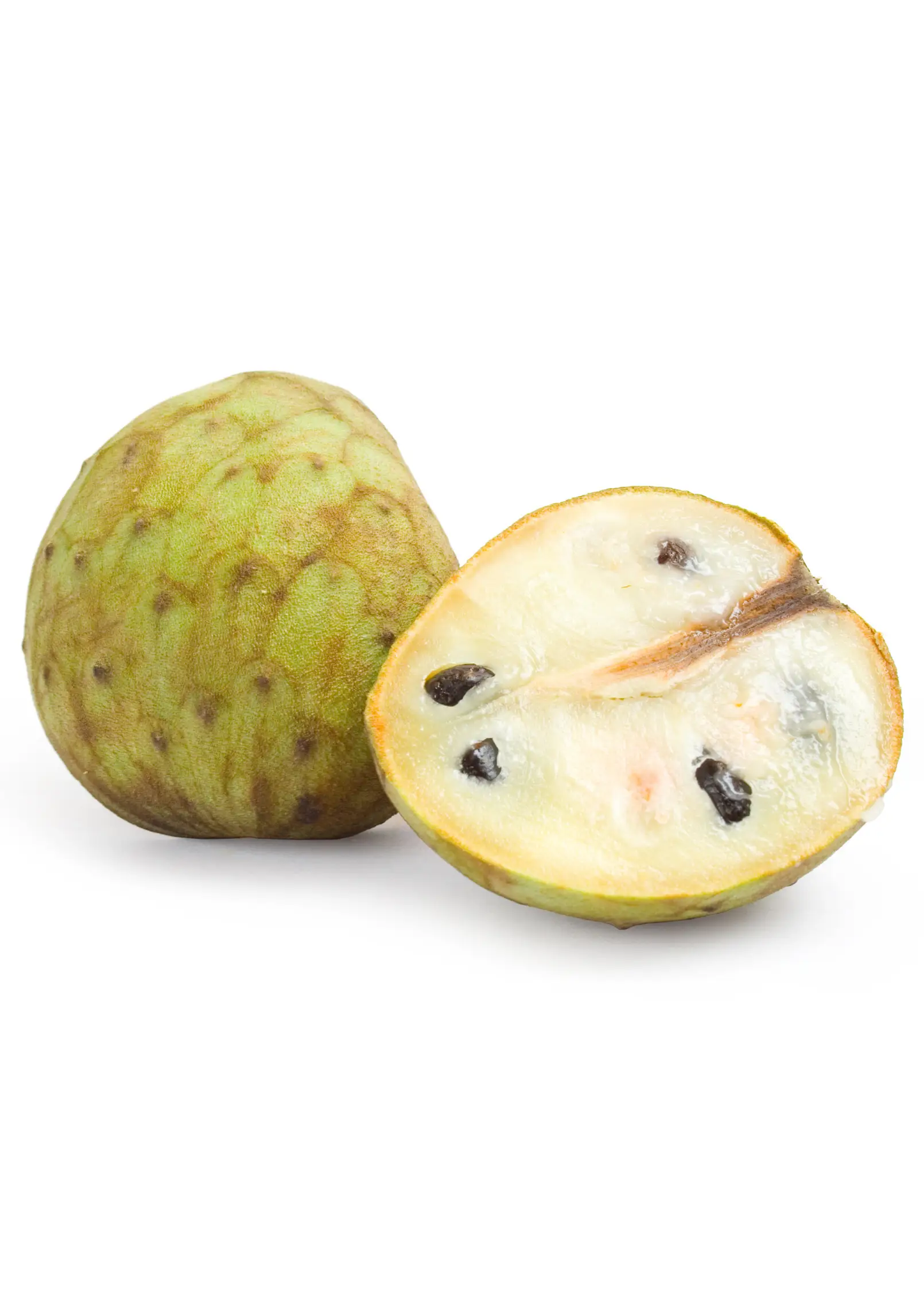 Cherimoya fruits: two items, whole green fruit and cut slice show creamy flesh and seeds on Tampa Home & Garden Store