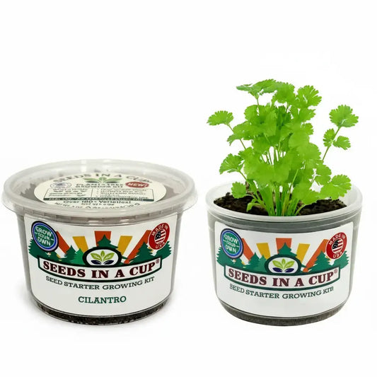 Cilantro Grow Kit - Tampa Home & Garden Store