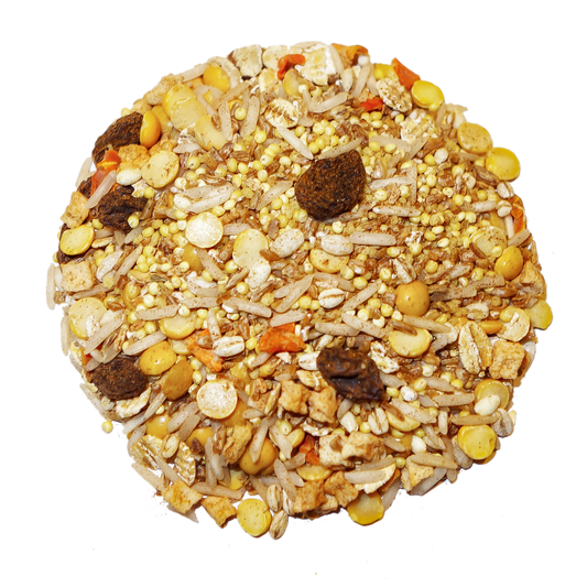 CinnaSpice Parrot Food mix by Bird Street Bistro seed and grain blend with millet and corn on a round cake on Tampa Home & Garden Store