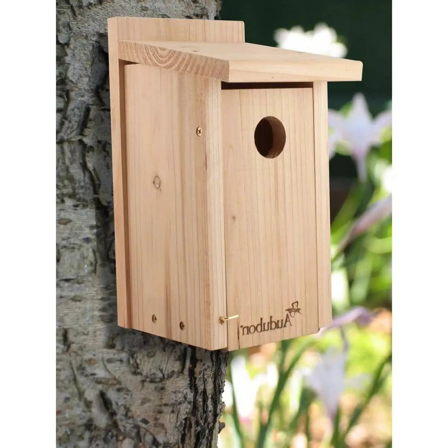 Classic Cedar Wood Bluebird Bird House with natural finish, Audubon logo, mounted on a tree on Tampa Home & Garden Store