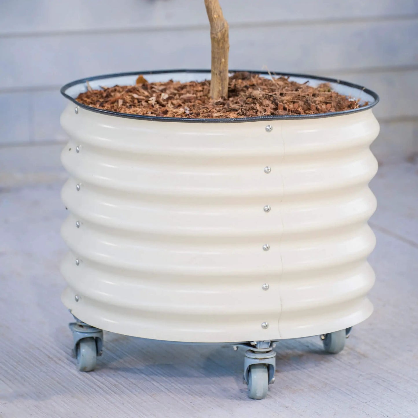 Vego Classic Rolling Planter on Wheels white pot with mulch and tree trunk on a wheeled base on Tampa Home & Garden Store