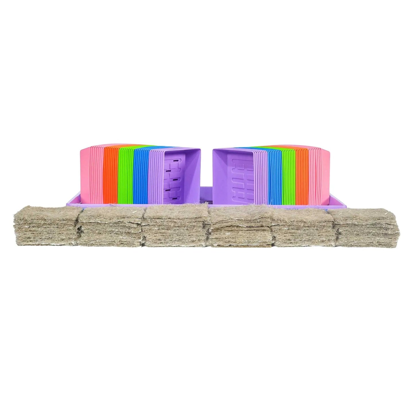 Two Bootstrap Farmer 1020 Tray Kits with rainbow inserts for classroom microgreens on Tampa Home & Garden Store