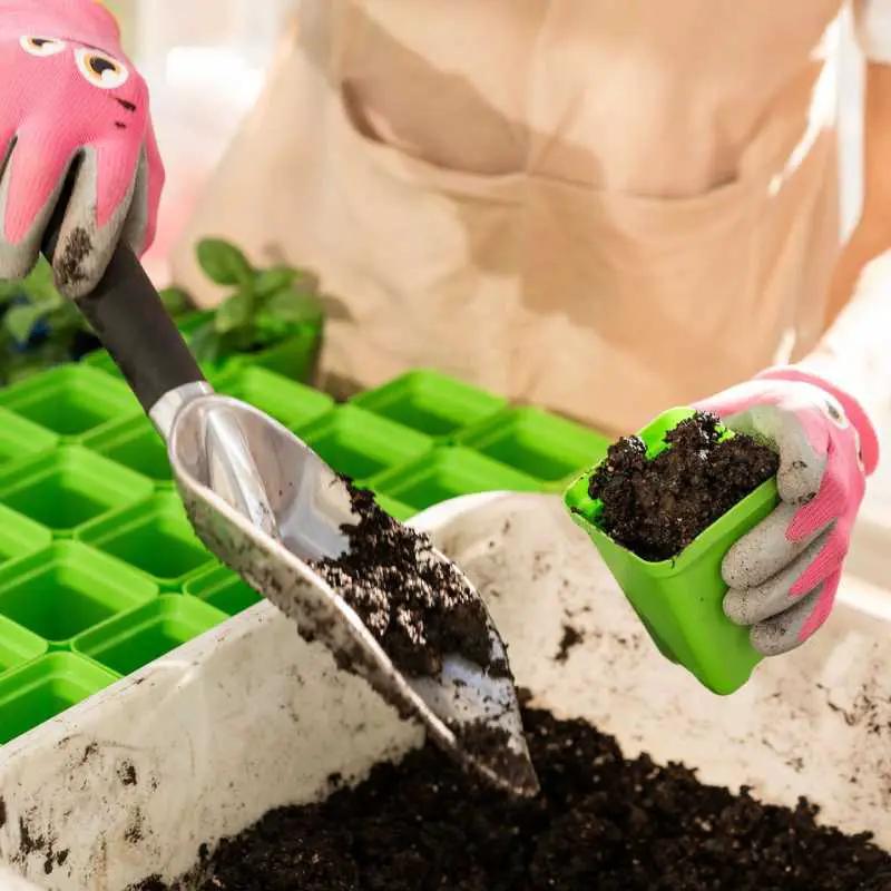 Classroom Seed Starting Bundle Bootstrap Farmer tray kits with green seedling trays on Tampa Home & Garden Store