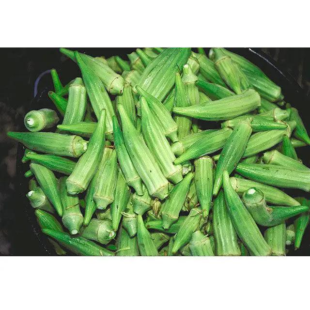 Clemson Spineless 80 Okra pods, vibrant green, organic on Tampa Home & Garden Store