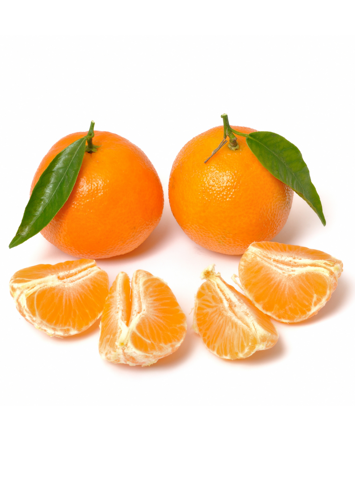 Clementine Tree (Citrus reticulata 'Clementine')
