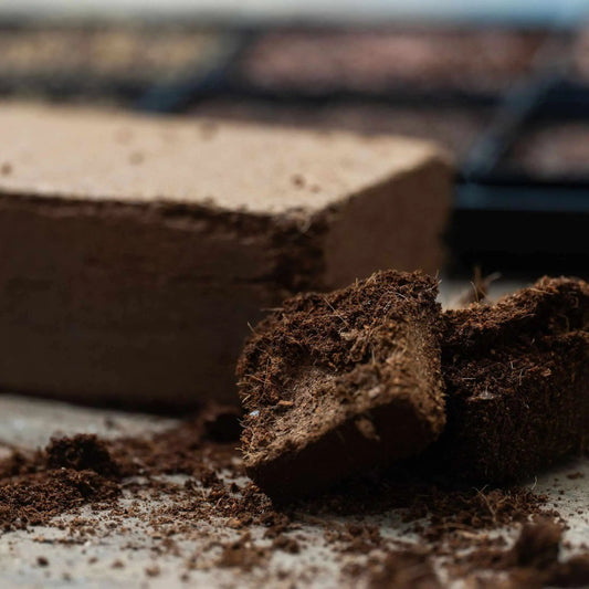Coco Coir Brick - Tampa soil911.com
