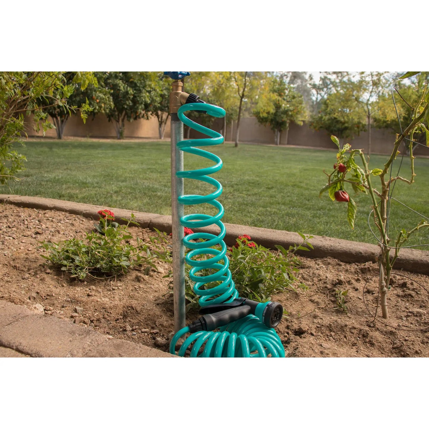 50 ft blue coil garden hose with 8-pattern nozzle from Orbit Irrigation, wrapped around a stake on Tampa Home & Garden Store