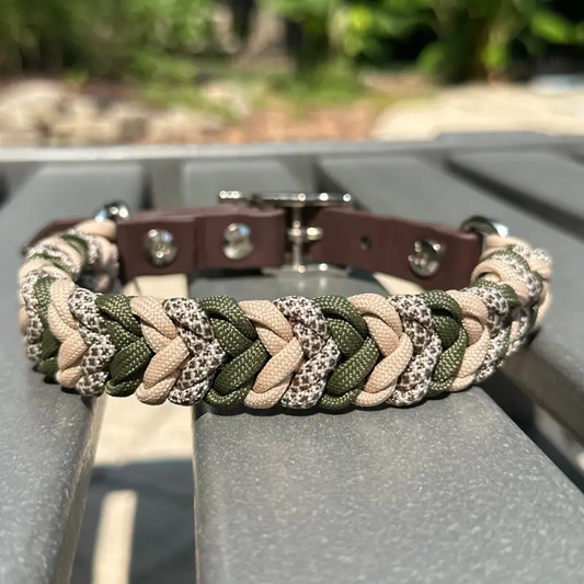 Coiled Charm Hand Braided Dog Collar olive tan coyote brown paracord Pawsh Pup Co on Tampa Home & Garden Store