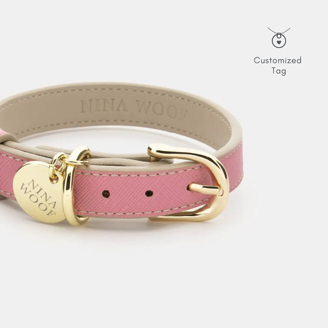 Rio vegan leather dog collar in pink with gold buckle and Nina Woof branding on Tampa Home & Garden Store