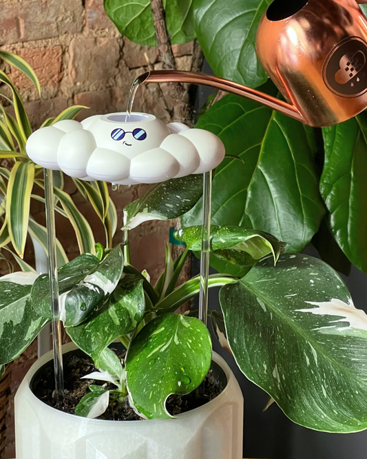 Cooper le Nuage