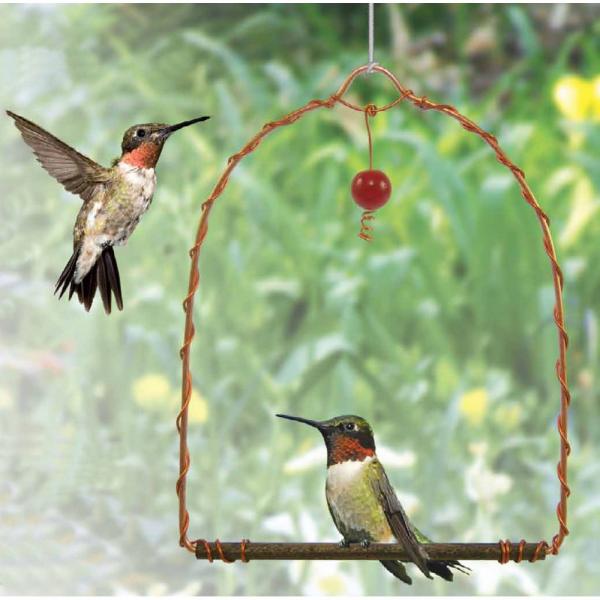 Copper Hummingbird Swing - Tampa Home & Garden Store