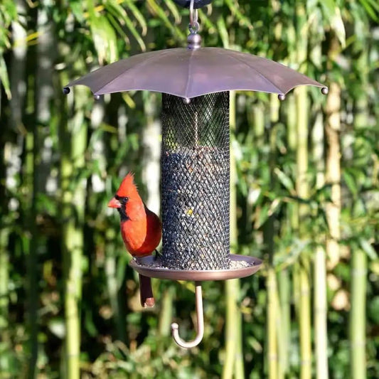 Copper umbrella bird feeder with mesh tube Revivor and cardinal perched nearby on Tampa Home & Garden Store