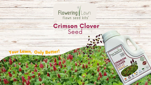 Crimson Clover Easy Spread Shaker seed kit by Flawn Seed Kits; lawn seeds with red clover blooms on Tampa Home & Garden Store