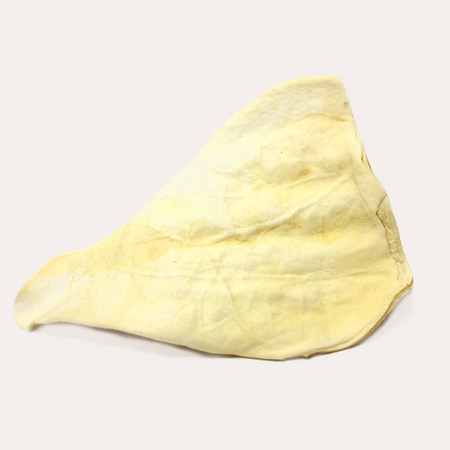 Cow Ear - 1 Count - Tampa Home & Garden Store
