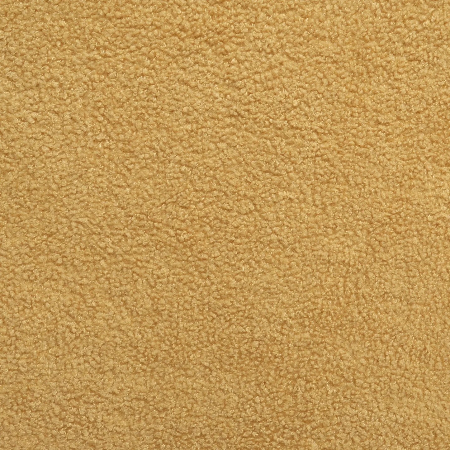 Beige loop-pile carpet close-up texture, soft residential flooring on Tampa Home & Garden Store