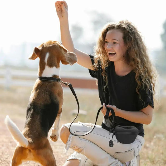 Silicone dog waist bag crossbody snack pouch in black with compact design on Tampa Home & Garden Store