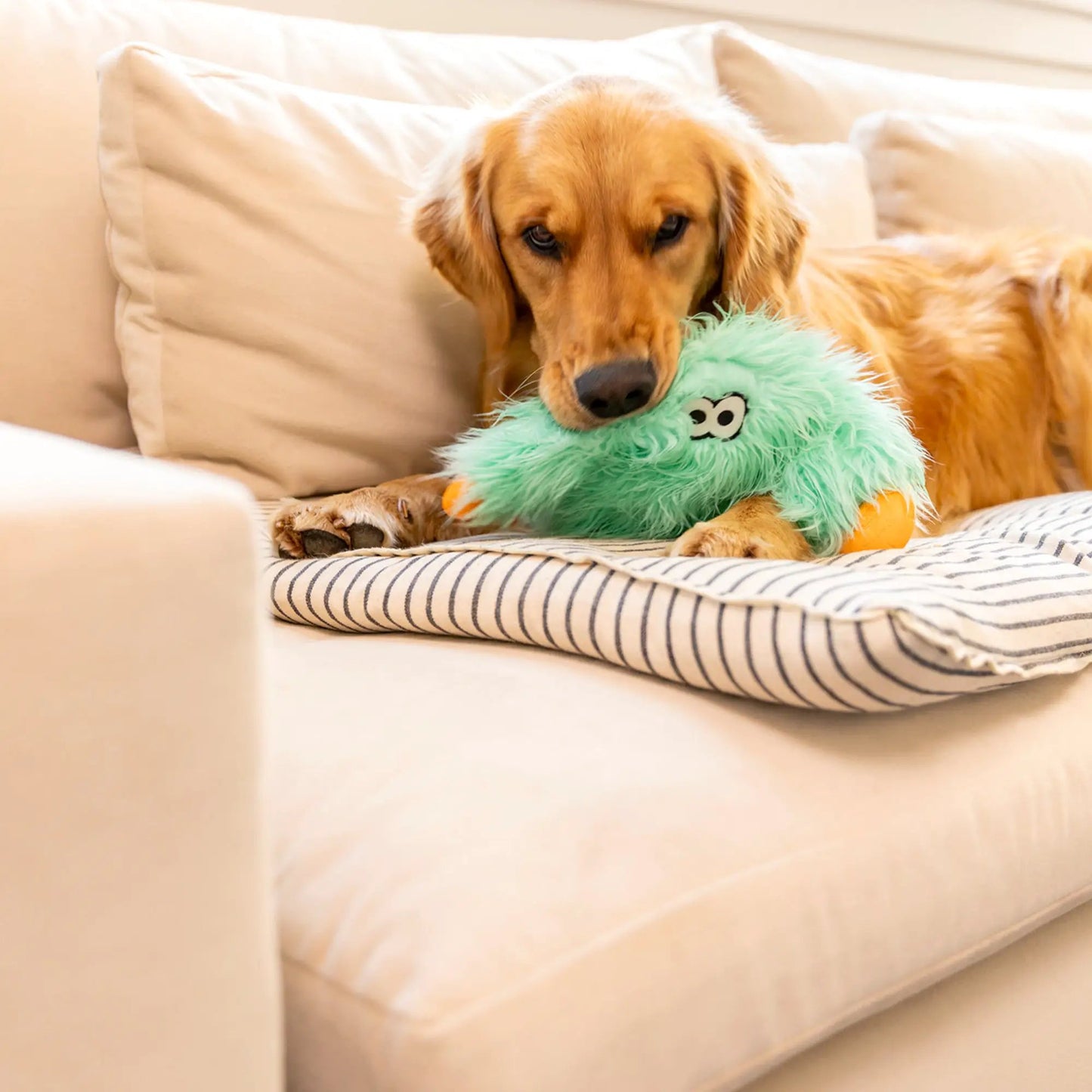 Helga Rowdies Plush Dog Toy Reinforced Fabric green West Paw dog toy with golden retriever on Tampa Home & Garden Store
