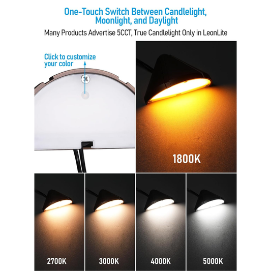 DLA05 8-Pack 5W Low Voltage LED Outdoor Fence Deck Down Lights Package, 12V LED Step Patio Landscape Lights - Tampa Home & Garden Store