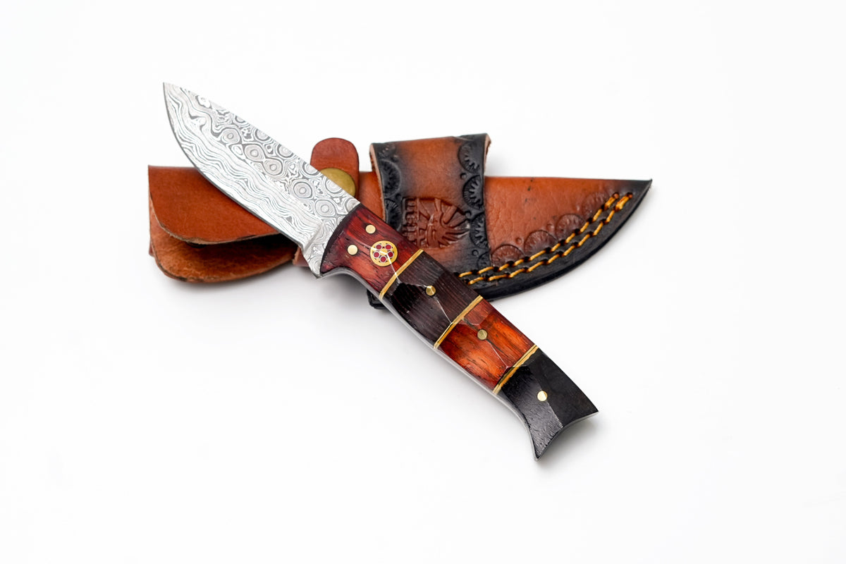Damascus drop-point hunting knife by Titan TK-492 with two-tone rosewood/ebony handle on Tampa Home & Garden Store