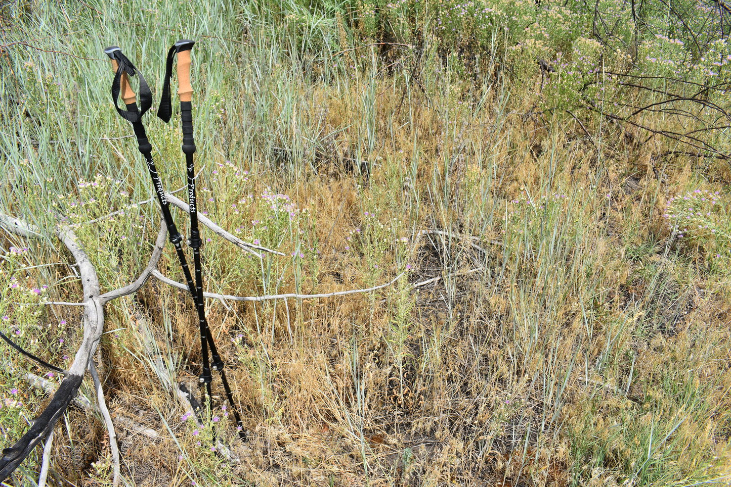 River Country Gear trekking poles, 20% carbon mix, black with tan grips, 2-pole set on Tampa Home & Garden Store