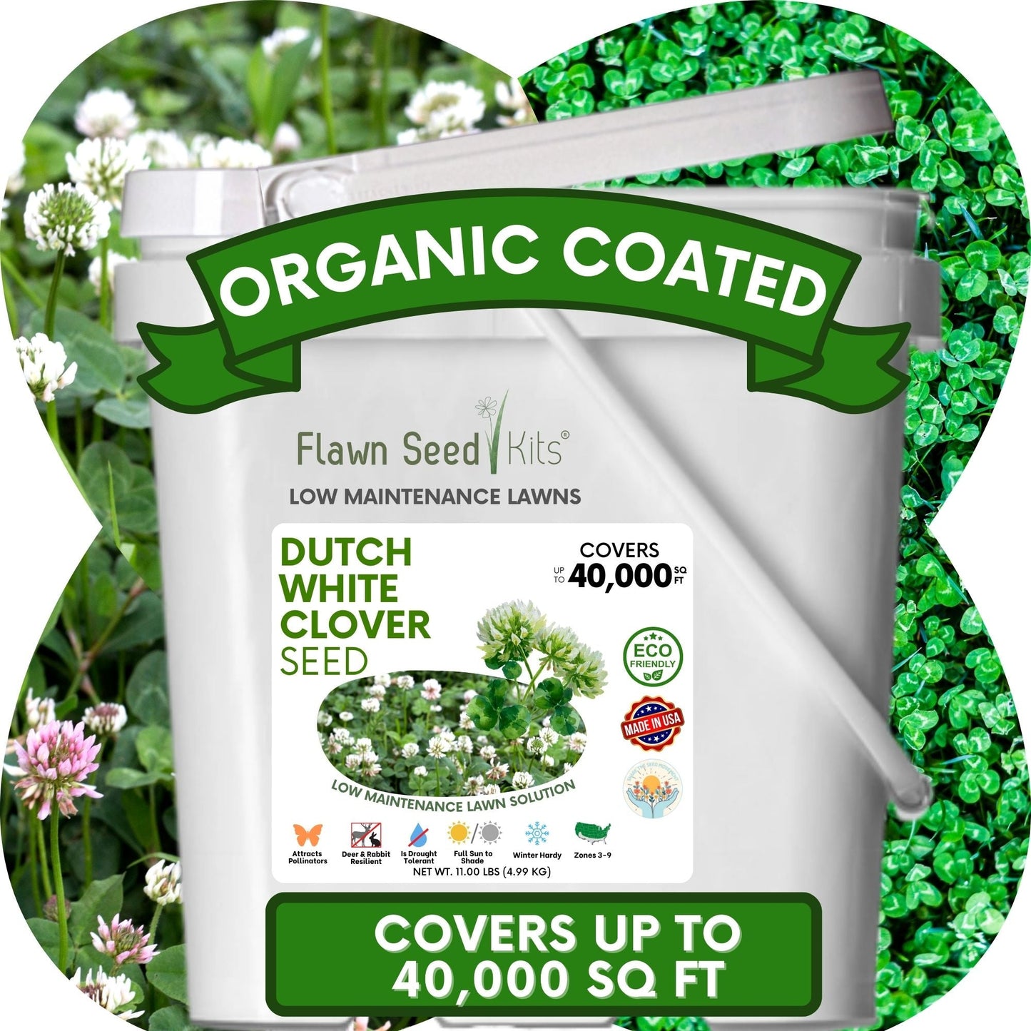 Dutch White Clover Seed by Flawn Seed Kits, organic coated seeds on green clover leaves on Tampa Home & Garden Store