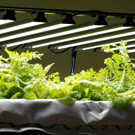 Dual-Spectrum LED Grow Light | 80 W - Tampa Home & Garden Store