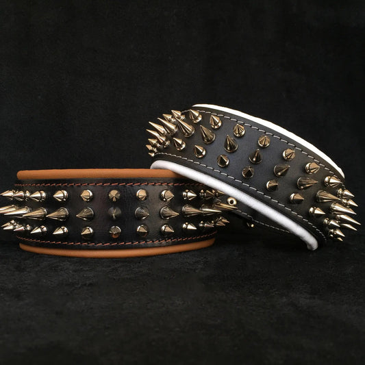 Danger Spiked Collar for Dogs by Bestia Custom, black leather with gold spikes on Tampa Home & Garden Store