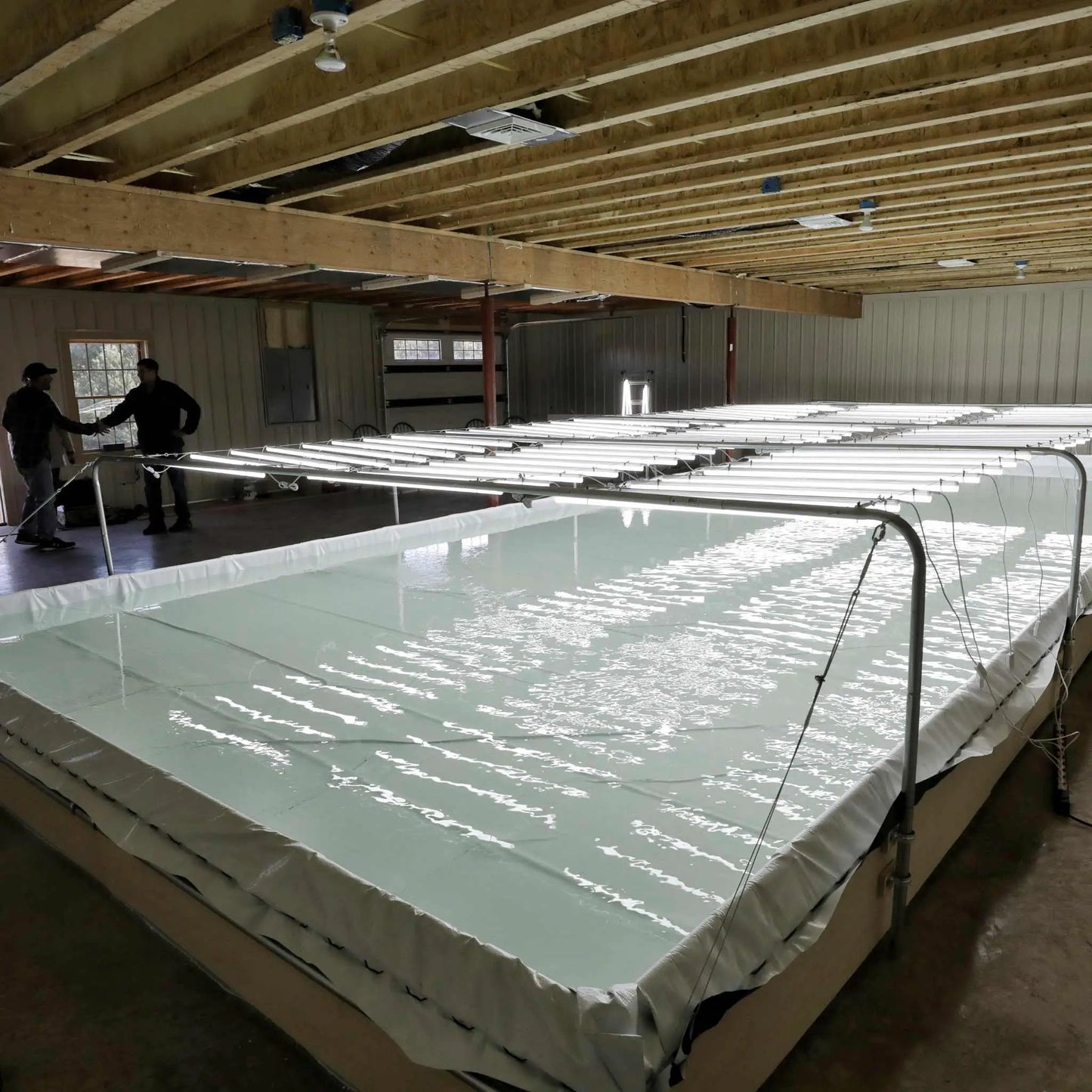 Deep Water Culture Kit for Hydroponics by Bootstrap Farmer in a grow room with troughs on Tampa Home & Garden Store