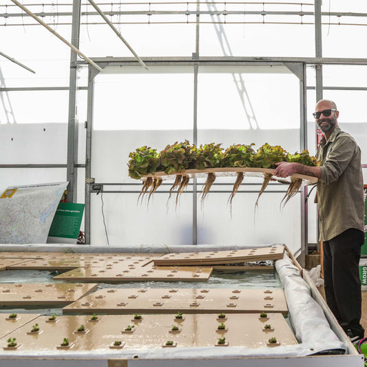 Deep Water Greens Raft - Tampa soil911.com