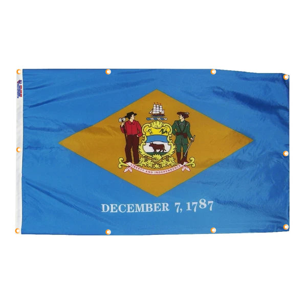 Delaware Flag with Grommets Along the Edges for Wall Hanging - Tampa Home & Garden Store