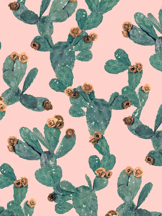 Desert Blooms Wallpaper pink backdrop with teal prickly pear cactus and peach flowers on Tampa Home & Garden Store