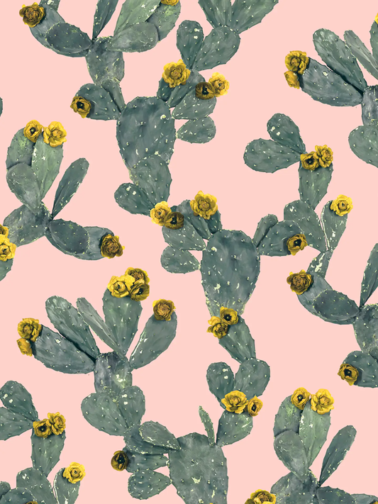 Desert Blooms Wallpaper cactus pattern with yellow flowers on pink background on Tampa Home & Garden Store