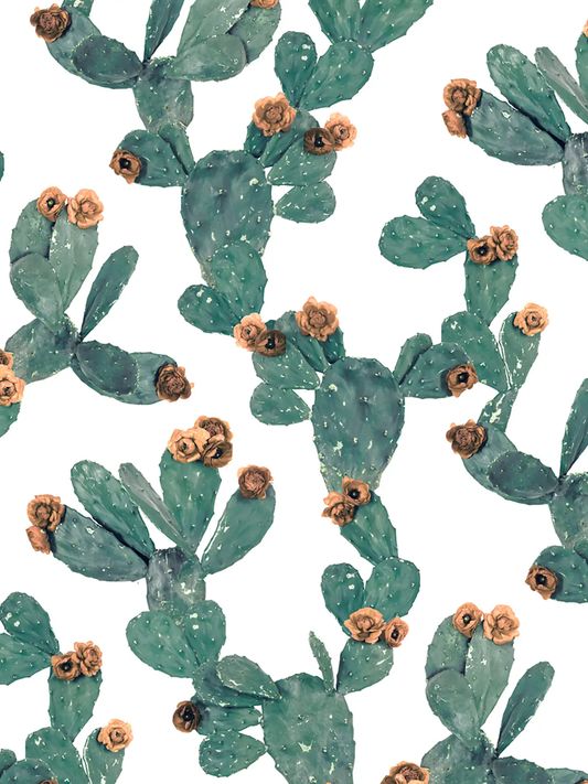 Desert Blooms Wallpaper cactus pad pattern with peach blossoms on white background on Tampa Home & Garden Store