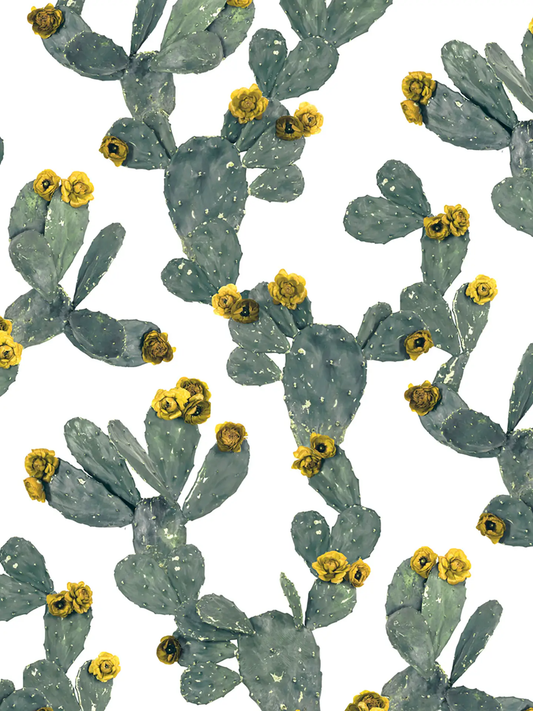 Desert Blooms Wallpaper blue-green prickly pear cacti with yellow flowers on white background on Tampa Home & Garden Store