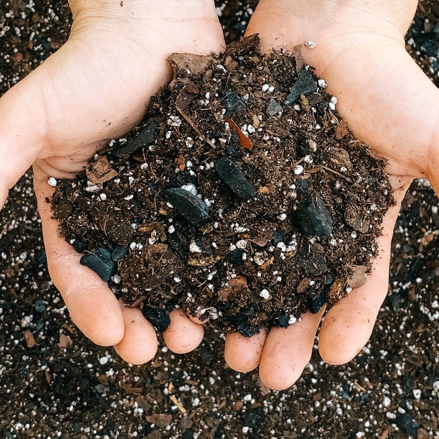 Dirt Bag: 1 Gallon - Tampa Home & Garden Store