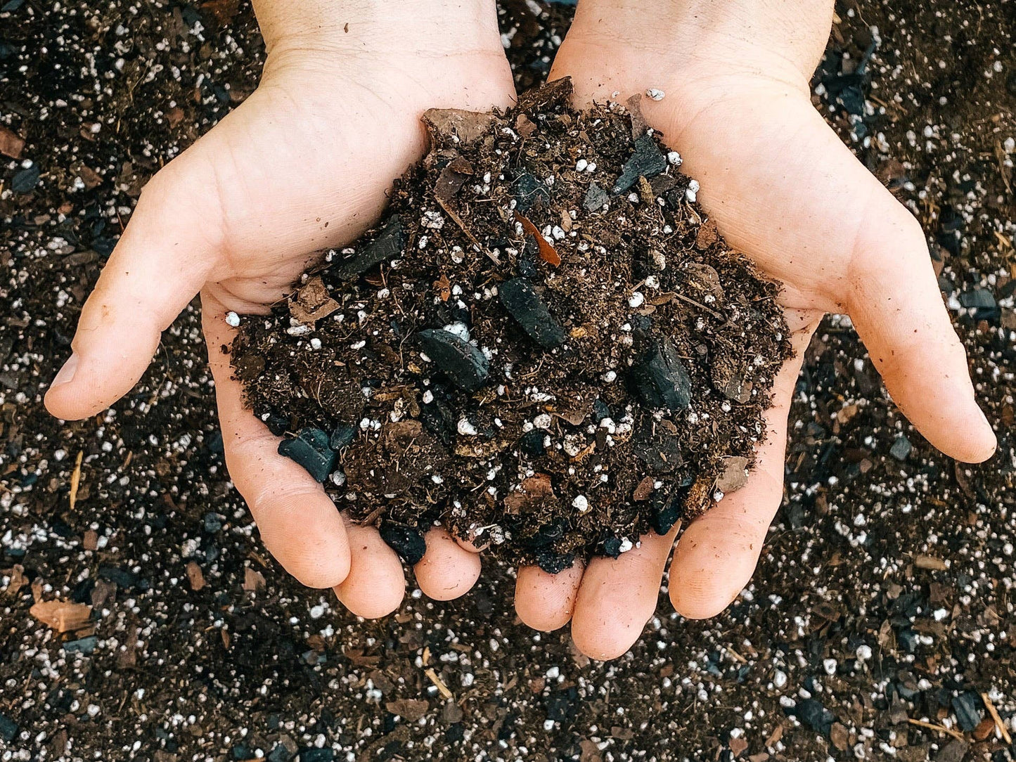 Dirt Bag: 1 Gallon - Tampa Home & Garden Store