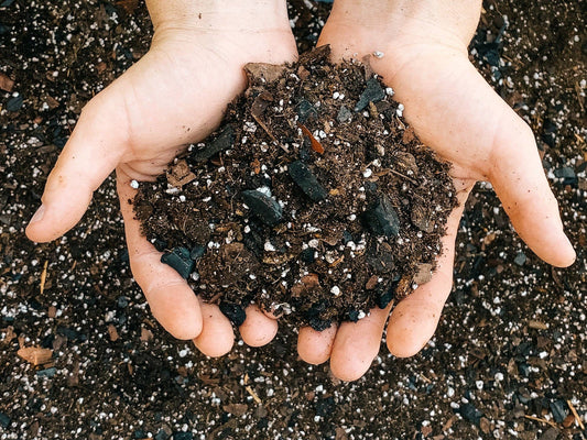 Dirt Bag: 1 Gallon - Tampa Home & Garden Store