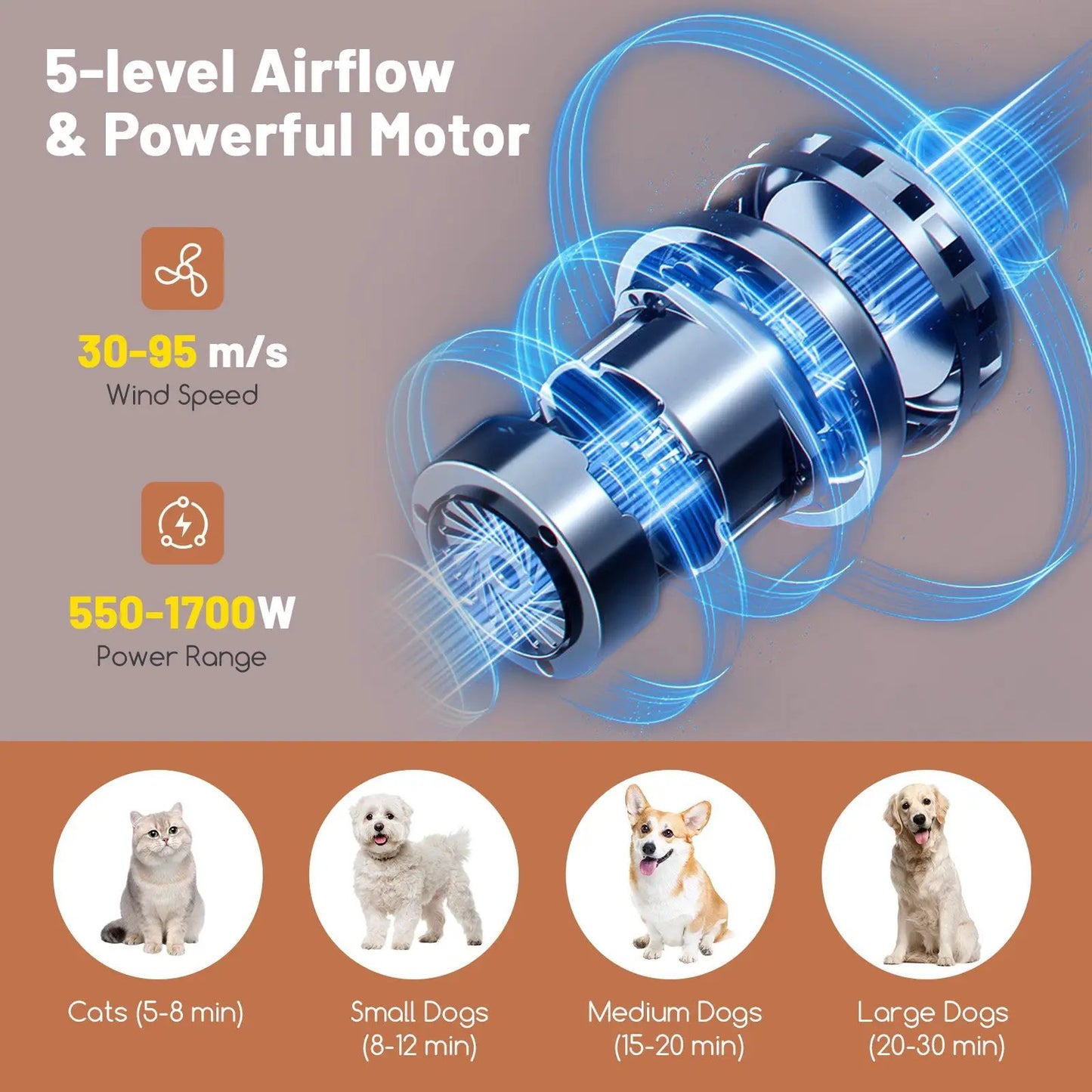 Dog Cat Hair Blower by DirectDeals with negative ion and adjustable temperature on Tampa Home & Garden Store