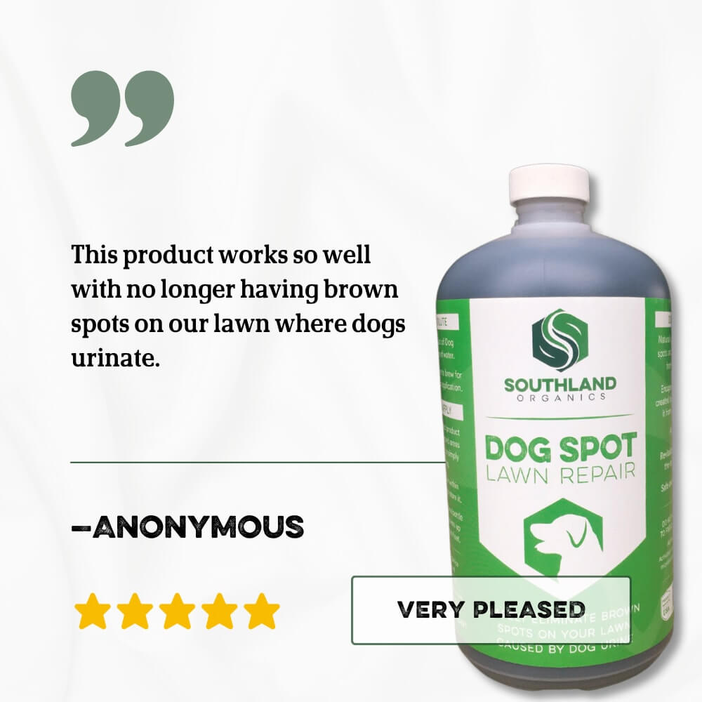 Dog Spot Grass Repair | Dog Spot Solution for Lawn