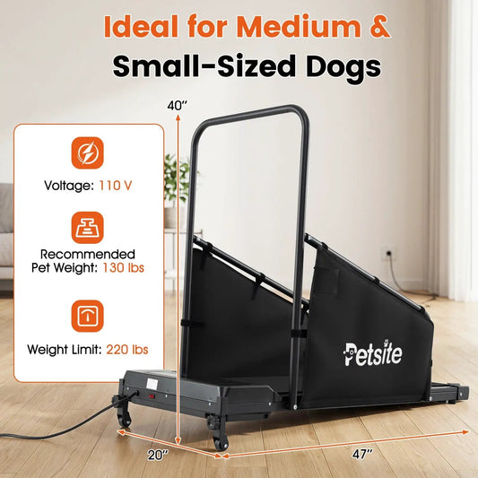 Dog Treadmill with Remote Control and LCD Display, black steel frame, Petsite branding on Tampa Home & Garden Store