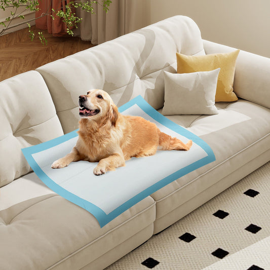 Dog and Puppy Pee Pads 36" x 36" (100 Counts) for Potty Training-Blue - Tampa Home & Garden Store