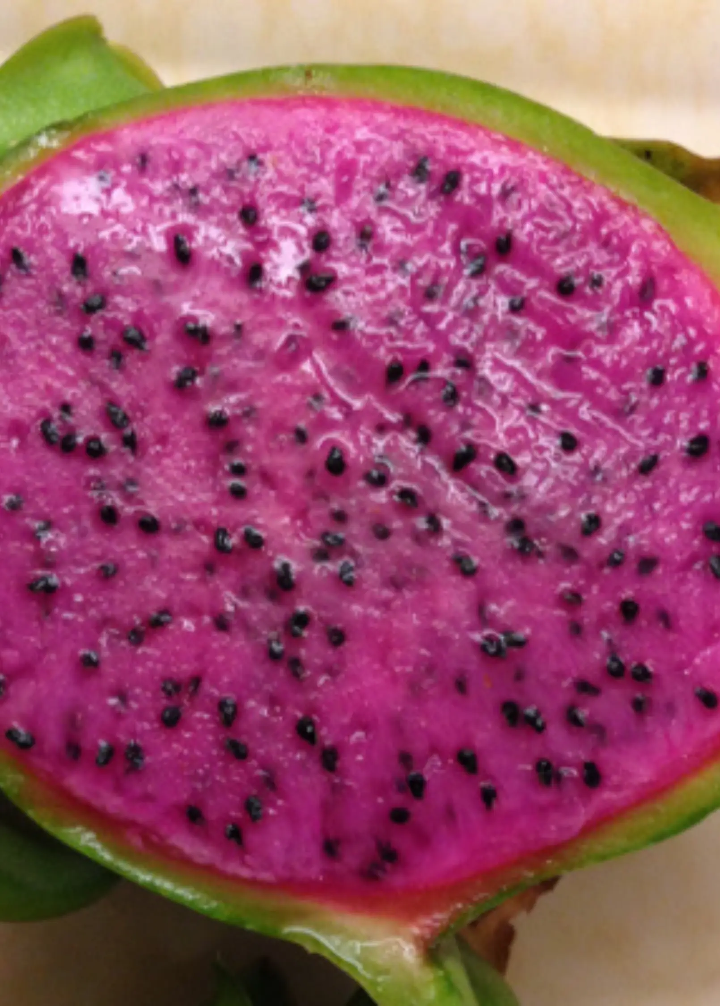 Dragon Fruit Plant Edgar's Baby Magenta Flesh cross-section with magenta flesh and black seeds on Tampa Home & Garden Store