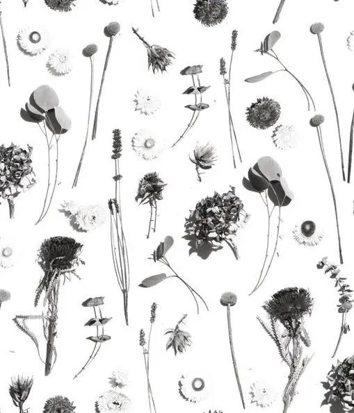 Dried Flora Wallpaper white and black botanical pattern by Samantha Santana Creative on Tampa Home & Garden Store