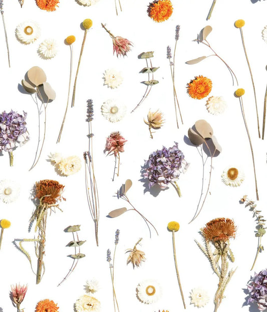 Wallpaper Dried Flora lavender orange by Samantha Santana Creative on Tampa Home & Garden Store