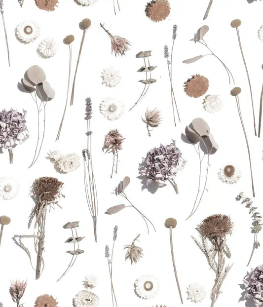 Wallpaper Dried Flora pattern in neutral tones with dried flowers on Tampa Home & Garden Store
