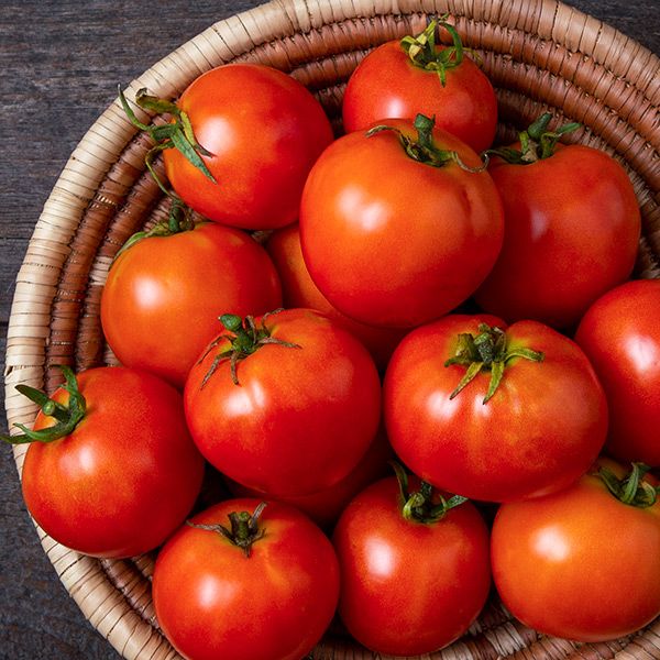 Mountain Princess tomatoes; several ripe red fruits with green stems in a woven basket on Tampa Home & Garden Store