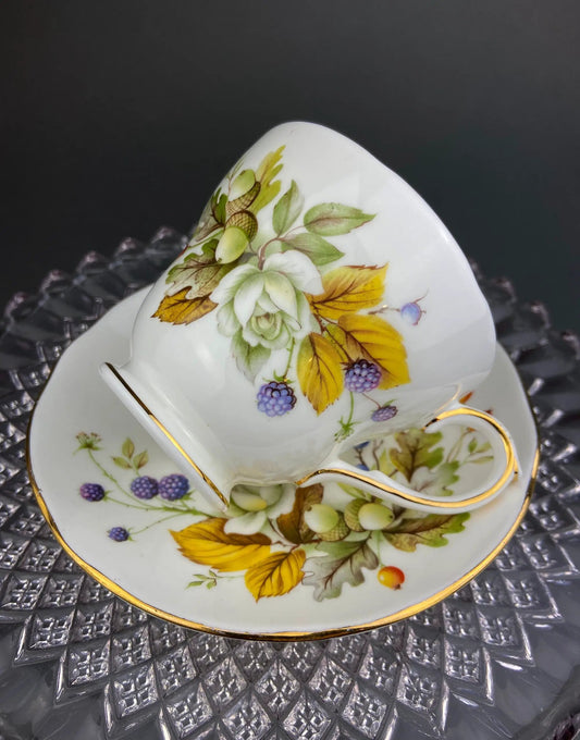Duchess fine bone china teacup and saucer with autumn floral motif gold trim on Tampa Home & Garden Store