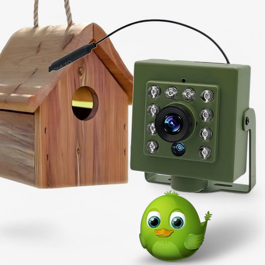 1080P HD Wildlife Camera Bird Watching WiFi Outdoor IP66 Night Vision Camera