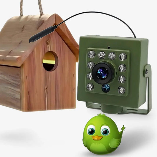 1080P Wildlife Bird Watching Camera, green surveillance with LED ring beside a birdhouse on Tampa Home & Garden Store